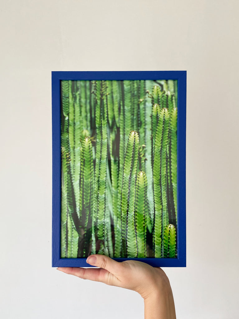 Foto print Cactus