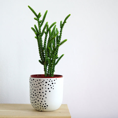 Renske Versluijs - porcelain cup dots small