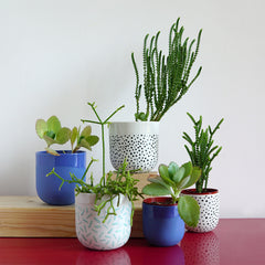 Renske Versluijs - porcelain cups with happy plants